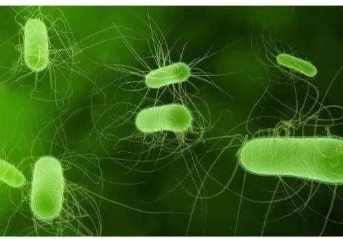 全球科学研究_全球十大研究科技_科技全球研究现状