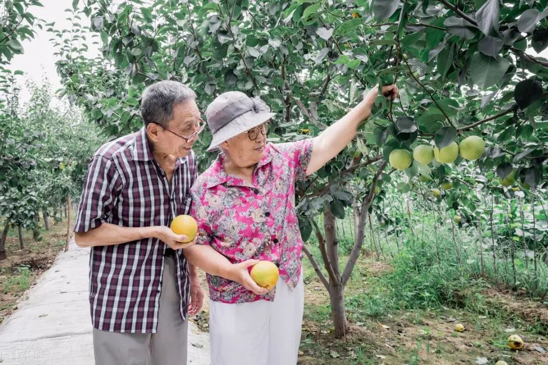 夫妻生活什么时间过好_夫妻过好生活时间多久_夫妻过好生活时间多久合适
