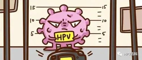 日常生活中如何预防HPV感染?