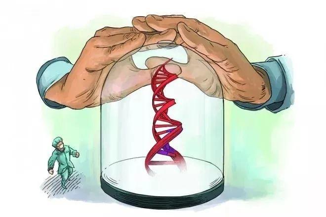 【每日社科】小小基因如何引发生物安全“龙卷风”