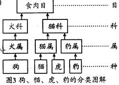 第六单元生物的多样性及其保护测试题