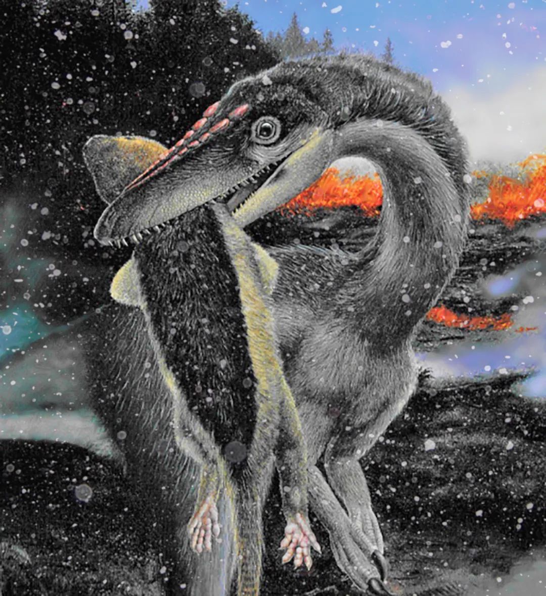 二叠纪末期生物大灭绝的原因_二叠纪末生物大灭绝造成()_二叠纪末期生物大灭绝的原因