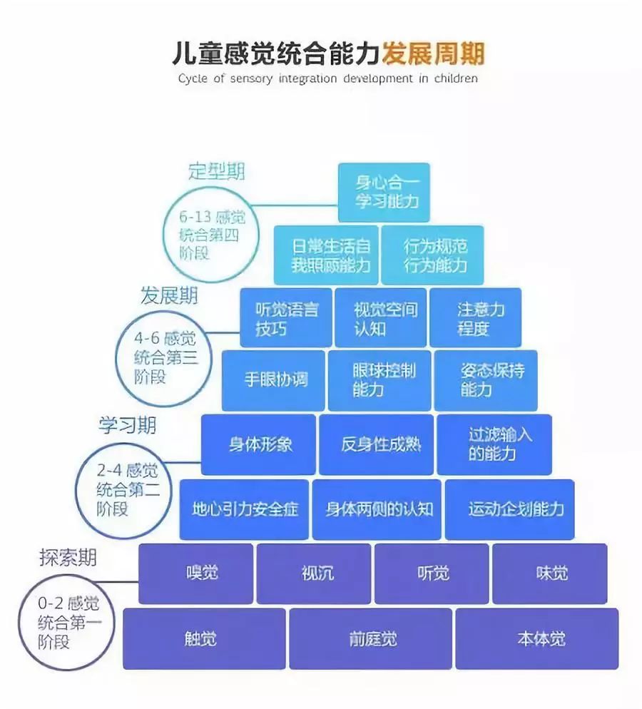 感知和感统的区别_感统知觉_感统方面的知识