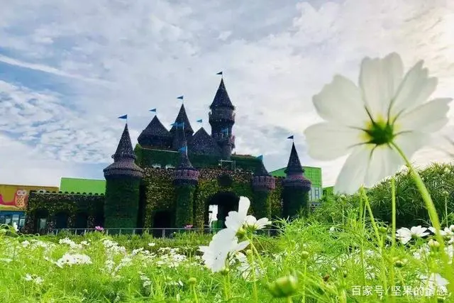 情趣生活馆加盟费用_给生活加点情趣_情趣加点生活怎么形容