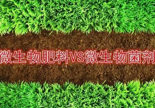 一字之差，“微生物肥料”和“微生物菌剂”有区别吗？