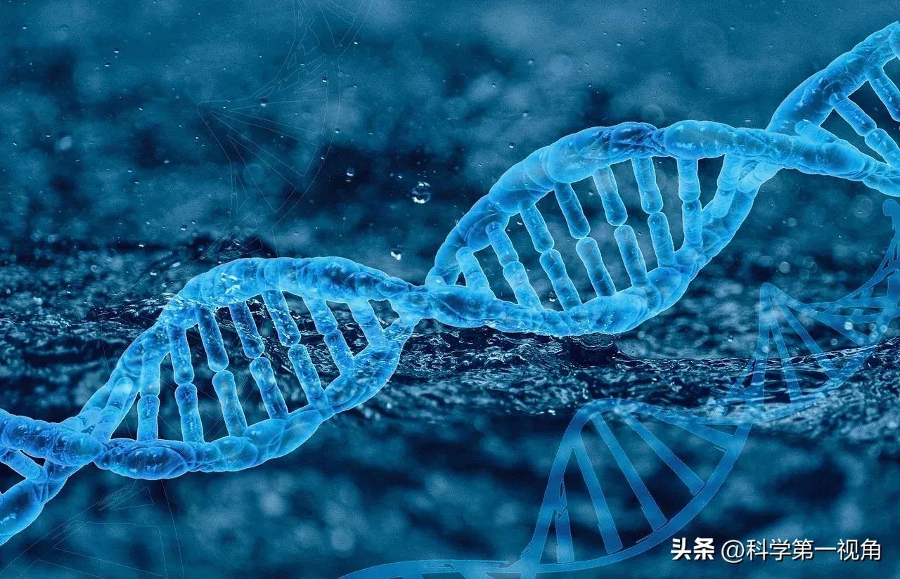世上有几种生物_世间生物很多怎么形容_世间很多生物