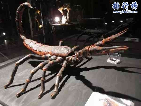 石炭纪十大恐怖生物 揭晓石炭纪生物大灭绝真相