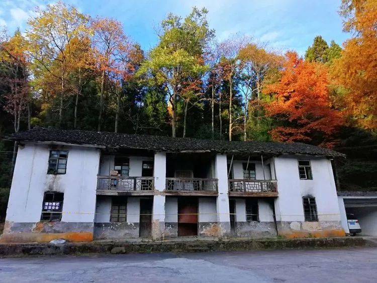 白狐生活的地方_白狐的生活地区的气候特征_白狐生存在哪里