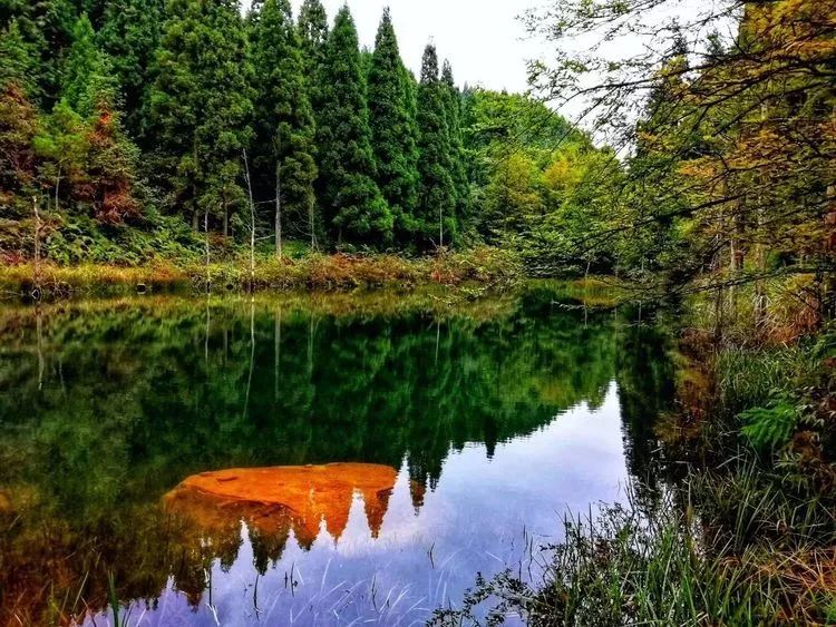 白狐生活的地方_白狐生存在哪里_白狐的生活地区的气候特征