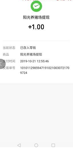 阳光养猪场真的赚钱吗 亲测告诉你答案