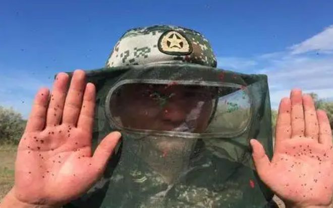 中国最危险边境线，随手一拍就是100多只蚊子，被称为蚊子王国！