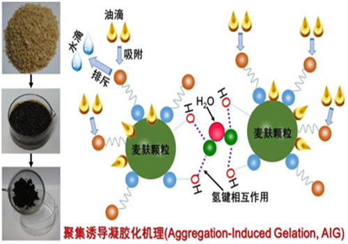 新疆理化所在生物基凝油材料研究领域取得进展