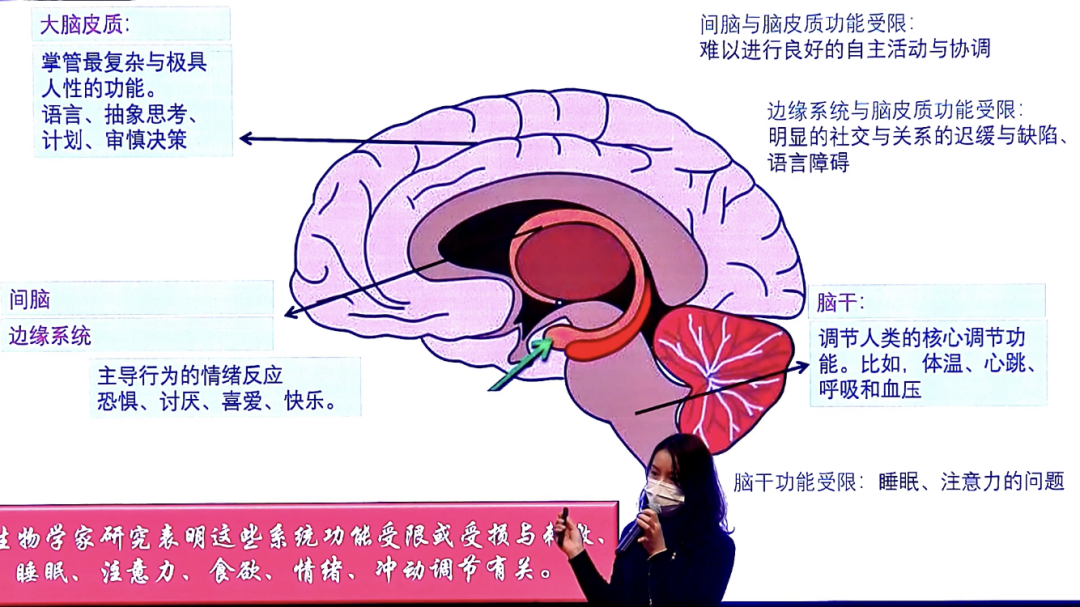 每周热点新闻有什么节目_上周的热点新闻_这周的新闻热点