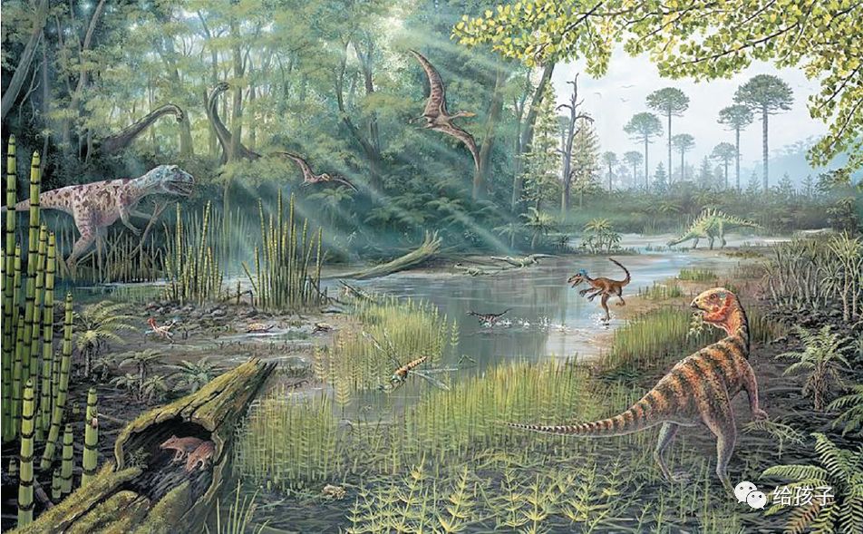 奥陶纪最大的生物_奥陶纪生物大辐射_奥陶纪典型生物化石