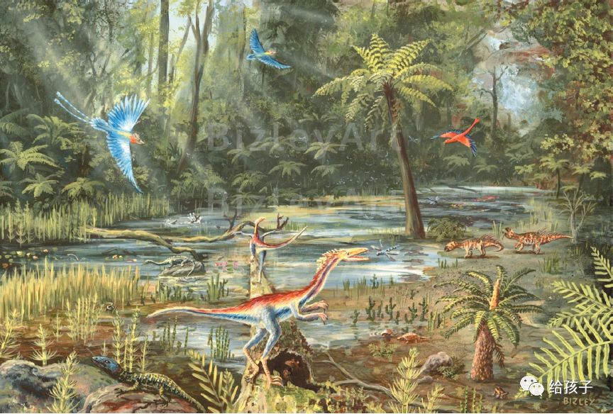 奥陶纪生物大辐射_奥陶纪最大的生物_奥陶纪典型生物化石