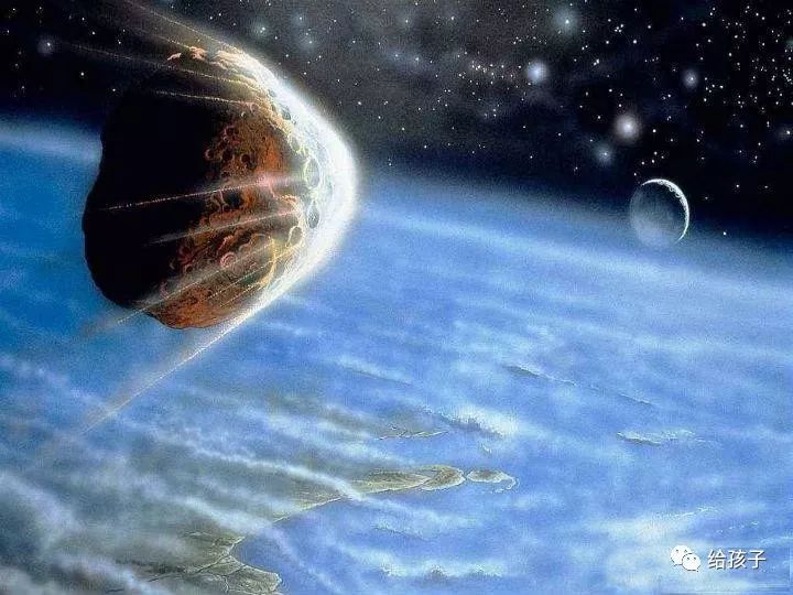 奥陶纪生物大辐射_奥陶纪最大的生物_奥陶纪典型生物化石