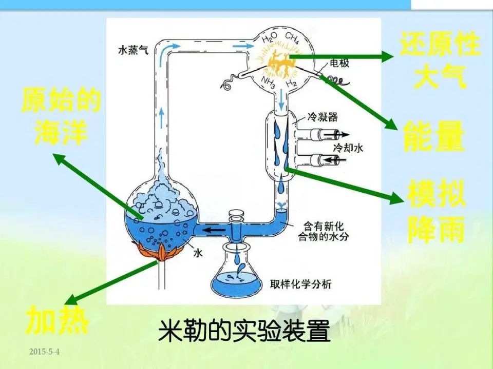 地球生物是什么意思_地球生物是外星人造的吗_地球第一个生物是什么