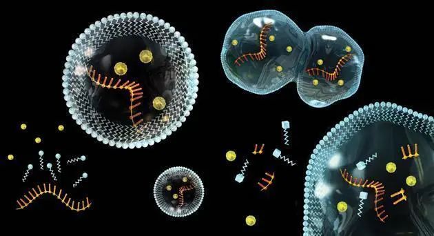 地球第一个生物是什么_地球生物是外星人造的吗_地球生物是什么意思