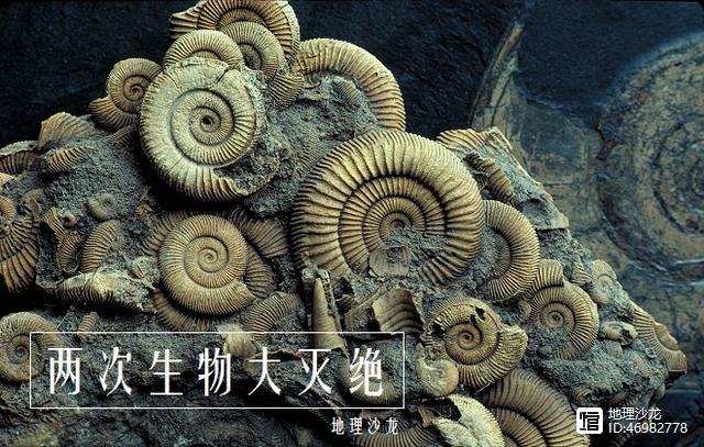 回顾地球历史上的两次生物大灭绝事件，我们人类能够幸免吗？