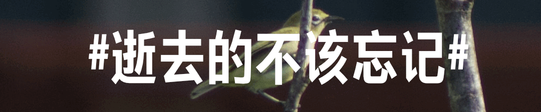 所有灭绝生物都给我看一遍_每天物种灭绝的速度_每天有多少种生物灭绝