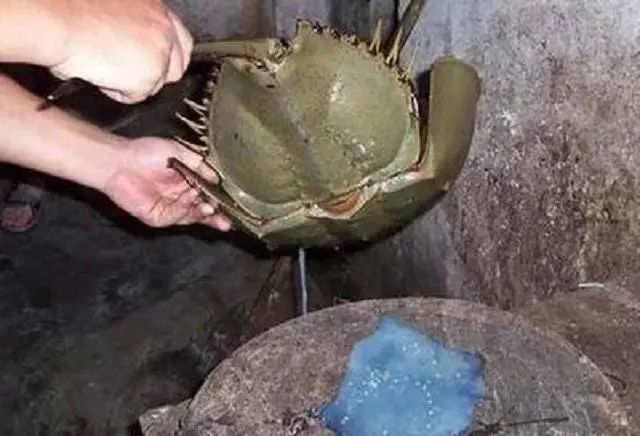 活着地球生物可能是人类吗_活着地球生物可能是什么生物_地球可能是一个活着的生物