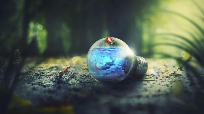 轰动科学界的发现，地球被忽略的第二文明！地球存在未知文明？