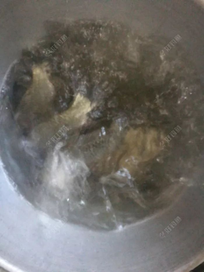 用尾巴钓鱼的动物_尾巴钓鱼的奇闻_尾巴钓鱼的奇闻故事