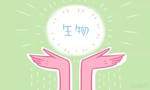 蓝鲸直通车 | 生物作为“理科中的文科”，高考怎么复习？小蓝鲸来告诉你！