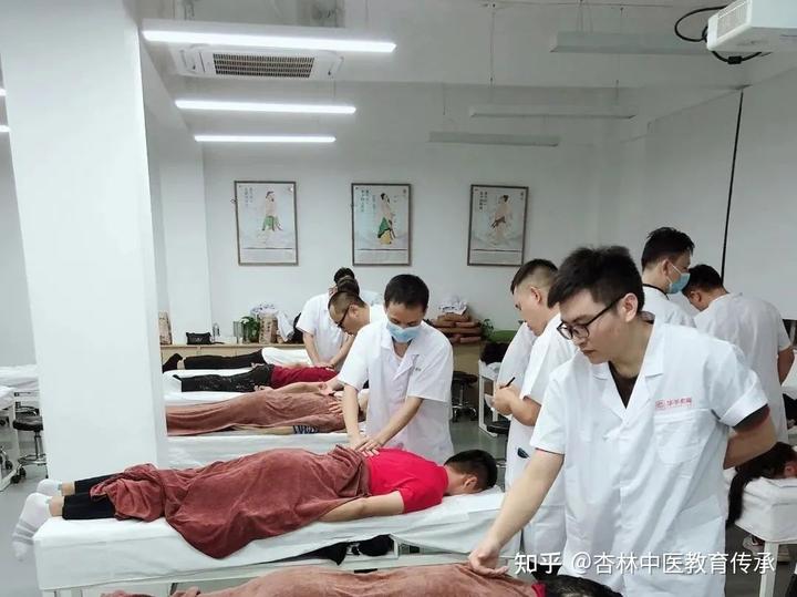 脾的相关疾病_脾的知识点_脾的相关知识