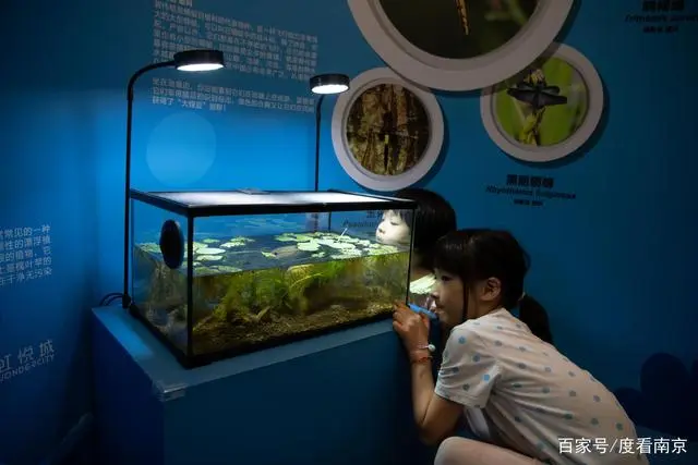 生物多样性展示_生物多样性展厅_生物多样性展览