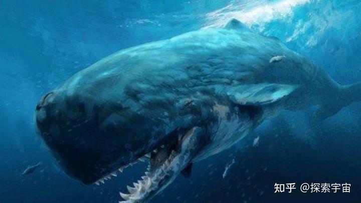 世间神秘生物存在的原因_世界上存在的神秘动物_世间存在神秘生物