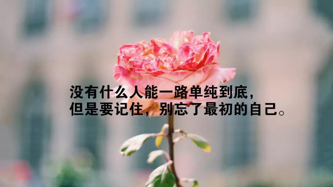 生活一半烟火一半清欢什么意思_生活一般烟火一般清欢什么意思_不一般的生活