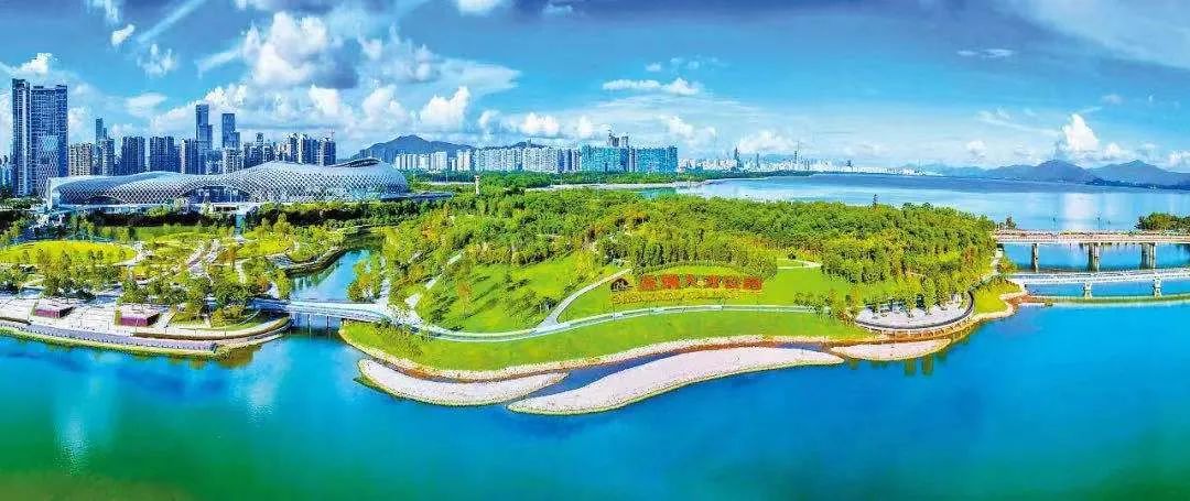 深圳成为全球重要金融科技中心