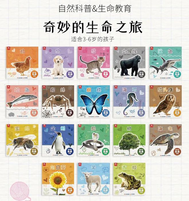 有关于企鹅的知识_企鹅知识_企鹅知识科普