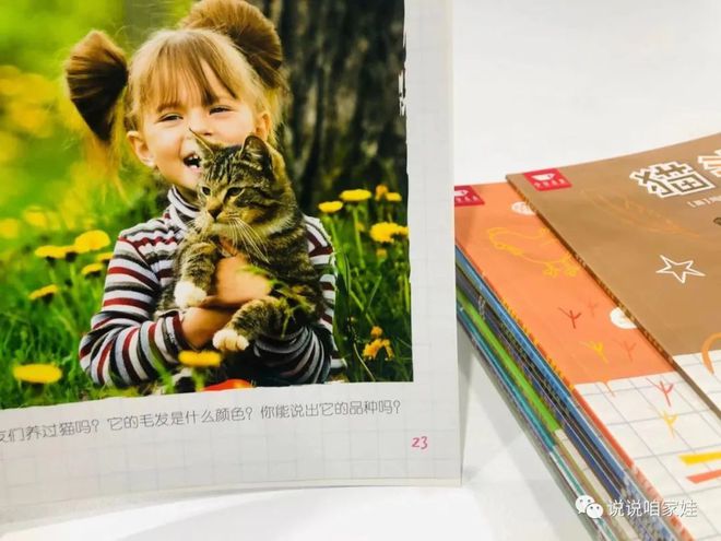 企鹅知识科普_有关于企鹅的知识_企鹅知识