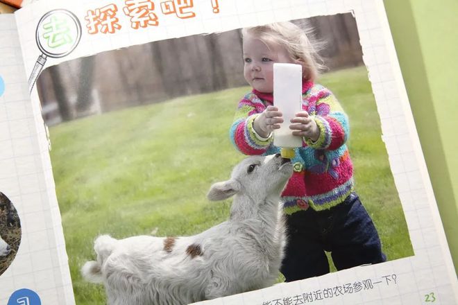 企鹅知识科普_企鹅知识_有关于企鹅的知识