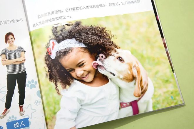 企鹅知识_企鹅知识科普_有关于企鹅的知识