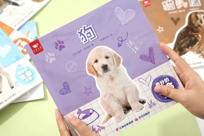 企鹅知识_有关于企鹅的知识_企鹅知识科普