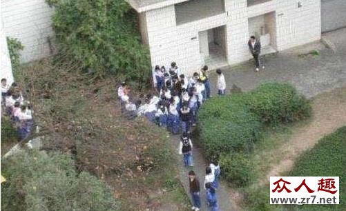 农村奇闻异事段子大全集,农村奇闻异事——学校厕所