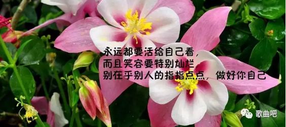 陈瑞情歌精选《伤口》《白狐》《相思的债》《老地方的雨》亲爱的，我想你了