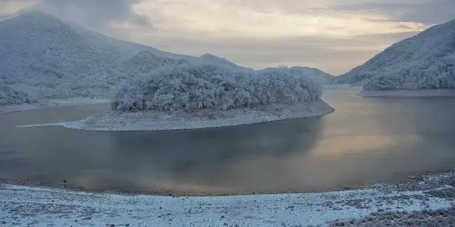 清凉峰一夜大雪，雪后梅花鹿成片出现！