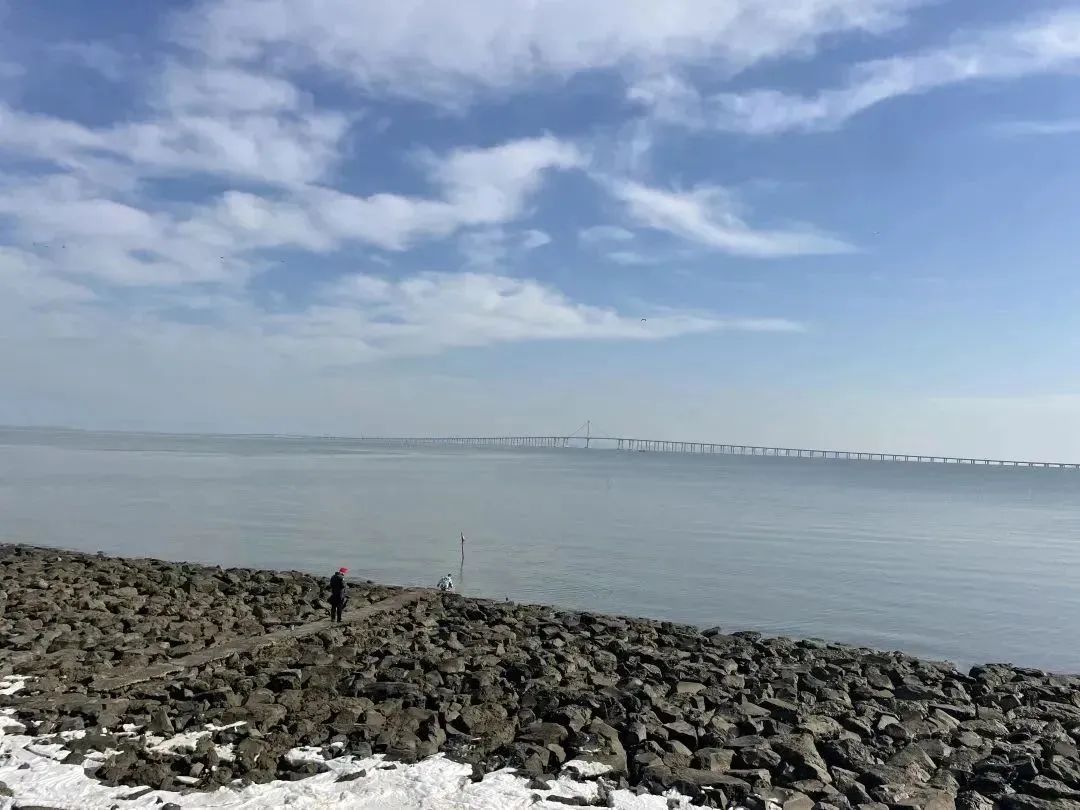 赶海常见的海洋生物_赶海的动物_赶海发现奇怪生物
