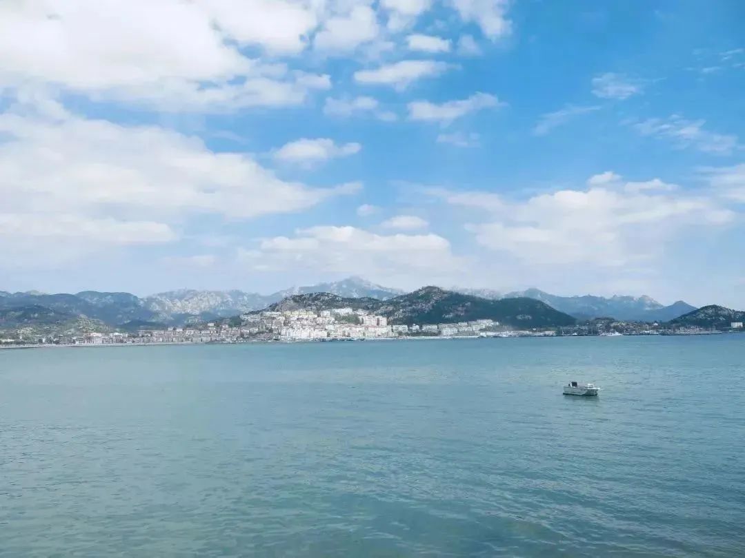 赶海发现奇怪生物_赶海常见的海洋生物_赶海的动物
