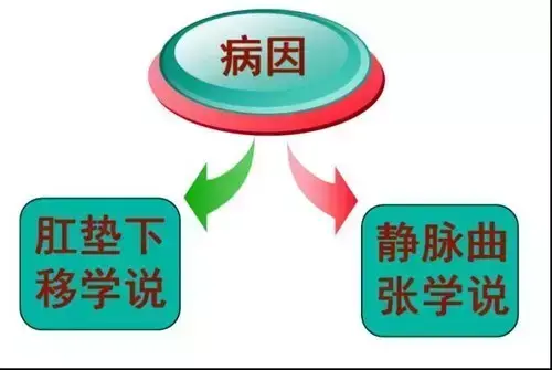 混合痔、肛乳头瘤手术