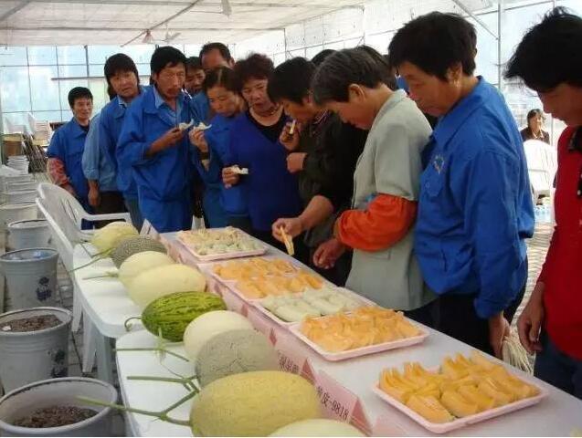 灾害作物农生物有哪些种类_农作物生物灾害有哪些_农作物灾害险