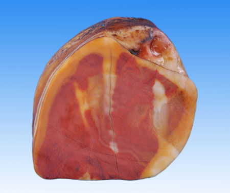形似火腿