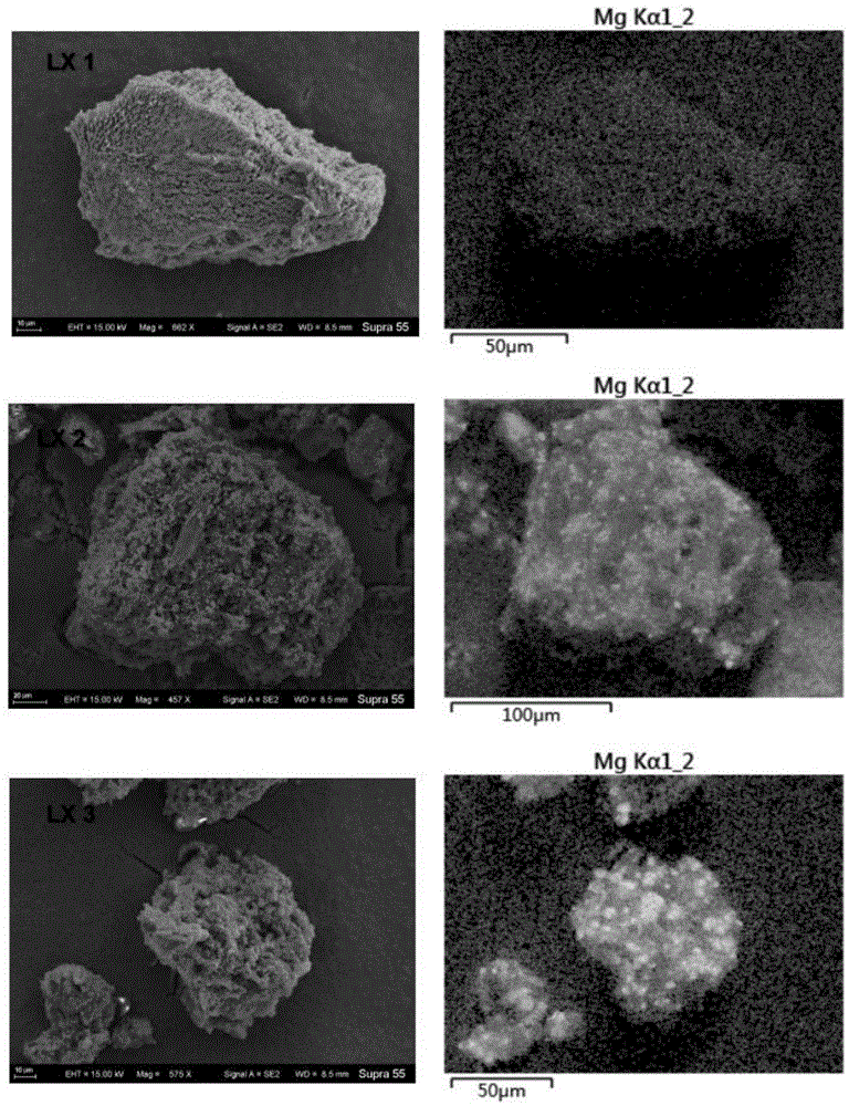 载磷小龙虾壳生物炭的应用的制作方法