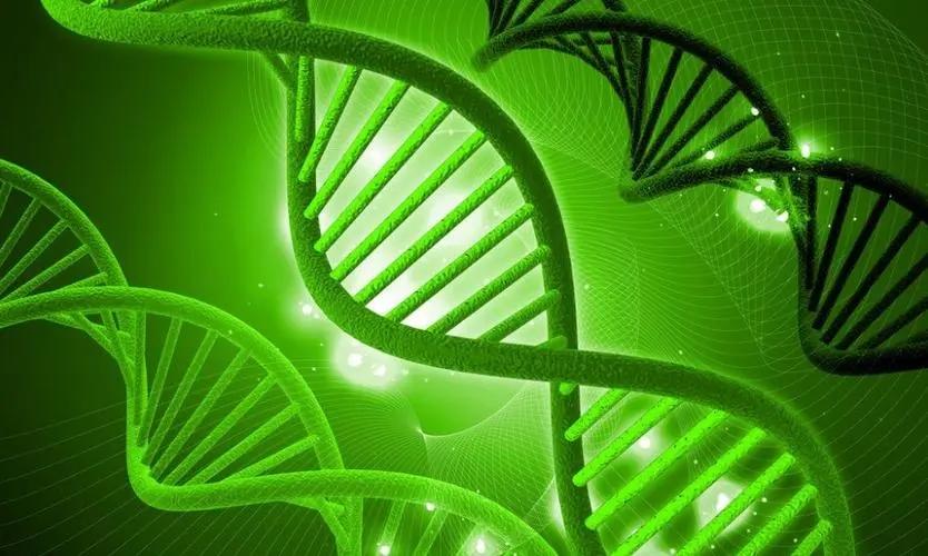 生物治疗技术在生活中的应用_生物技术治疗_生物治疗技术是什么药物植物的