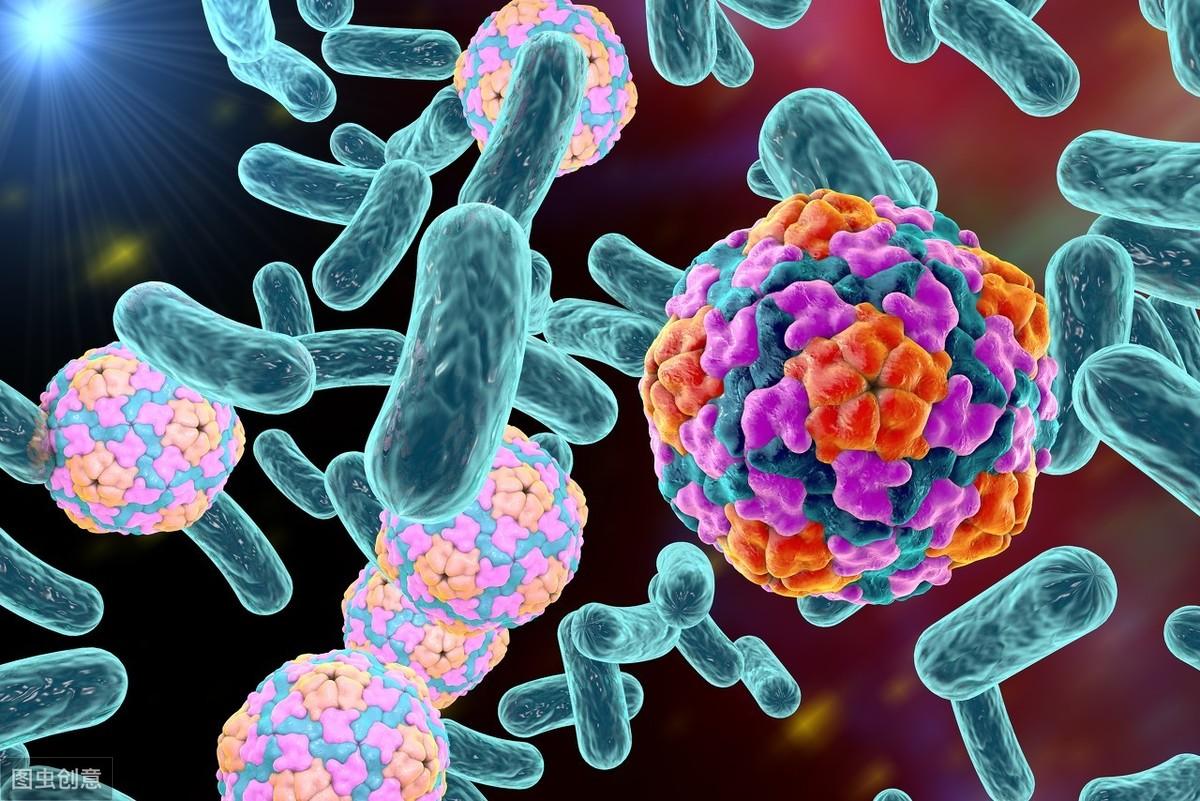 免疫生物治疗学_dccik生物免疫治疗_免疫生物治疗的方法有哪些