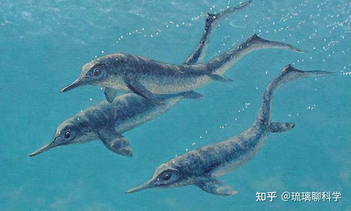 每天物种灭绝的速度_每天有多少种生物灭绝_所有灭绝生物都给我看一遍